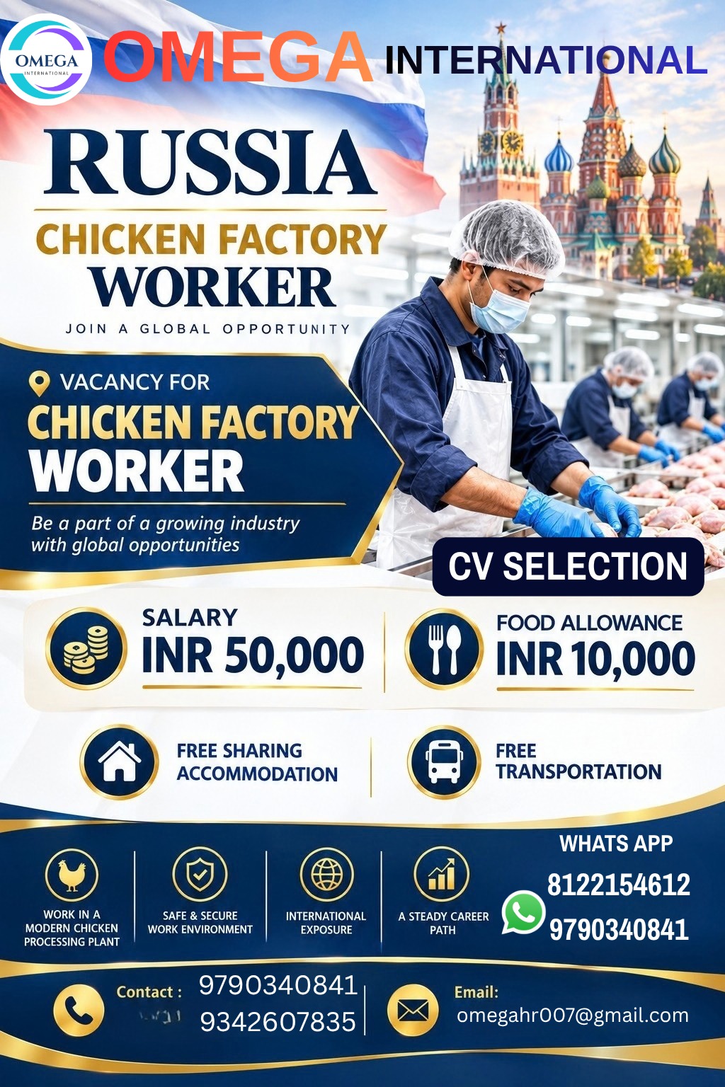 Chicken Factory Worker