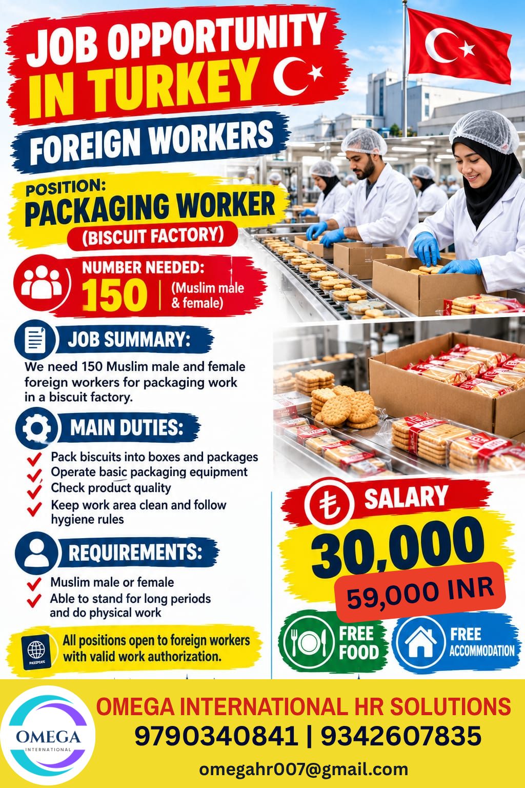 Packaging Worker - Biscuit Factory
